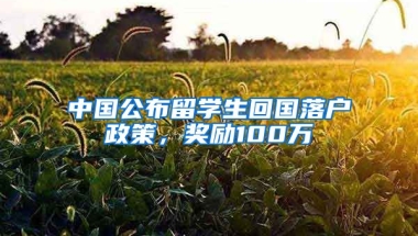 中國公布留學生回國落戶政策，獎勵100萬