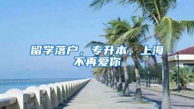 留學(xué)落戶，專升本，上海不再愛你