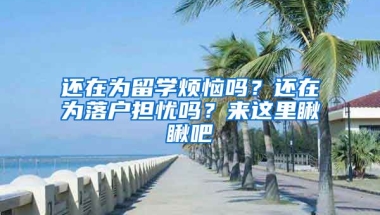 還在為留學(xué)煩惱嗎？還在為落戶擔(dān)憂嗎？來這里瞅瞅吧