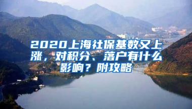 2020上海社?；鶖?shù)又上漲，對(duì)積分、落戶有什么影響？附攻略