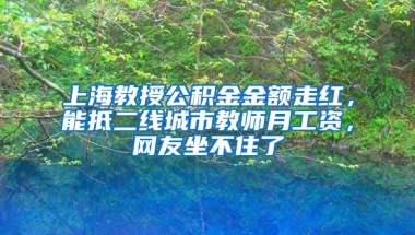 上海教授公積金金額走紅，能抵二線城市教師月工資，網(wǎng)友坐不住了