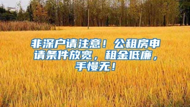 非深戶請注意！公租房申請條件放寬，租金低廉，手慢無！