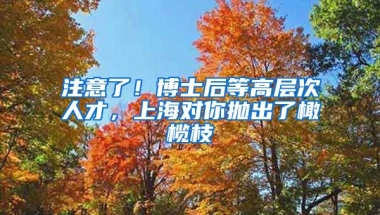 注意了！博士后等高層次人才，上海對你拋出了橄欖枝→