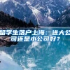 留學(xué)生落戶上海：進(jìn)大公司還是小公司好？