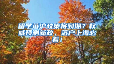 留學落滬政策將到期？權威預測新政，落戶上海必看！