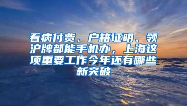 看病付費(fèi)、戶籍證明、領(lǐng)滬牌都能手機(jī)辦，上海這項(xiàng)重要工作今年還有哪些新突破