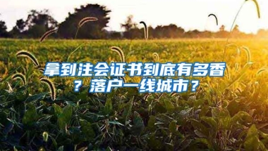 拿到注會(huì)證書到底有多香？落戶一線城市？