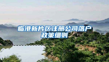 臨港新片區(qū)注冊公司落戶政策細(xì)則