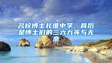 名校博士扎堆中學(xué)，背后是博士們的三六九等與無(wú)奈