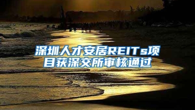 深圳人才安居REITs項(xiàng)目獲深交所審核通過