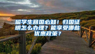 留學(xué)生回國必知！歸國證明怎么辦理？能享受哪些優(yōu)惠政策？