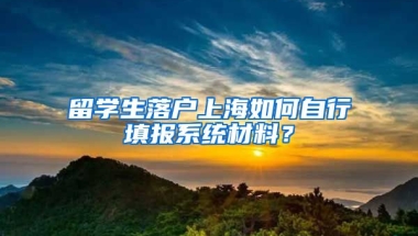 留學(xué)生落戶上海如何自行填報系統(tǒng)材料？