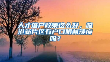 人才落戶政策這么好，臨港新片區(qū)有戶口限制額度嗎？