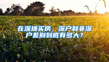 在深圳買房，深戶和非深戶差別到底有多大？