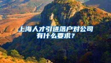 上海人才引進落戶對公司有什么要求？