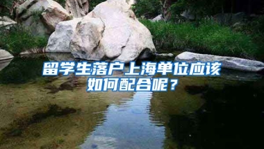 留學(xué)生落戶上海單位應(yīng)該如何配合呢？