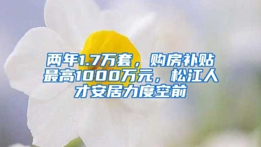 兩年1.7萬(wàn)套，購(gòu)房補(bǔ)貼最高1000萬(wàn)元，松江人才安居力度空前