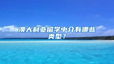 澳大利亞留學(xué)中介有哪些類型？