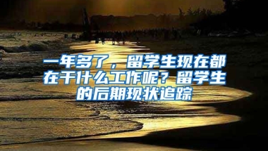 一年多了，留學(xué)生現(xiàn)在都在干什么工作呢？留學(xué)生的后期現(xiàn)狀追蹤