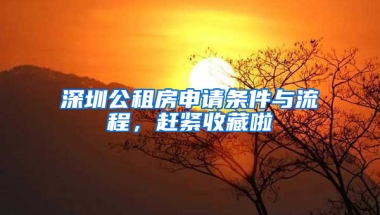 深圳公租房申請(qǐng)條件與流程，趕緊收藏啦