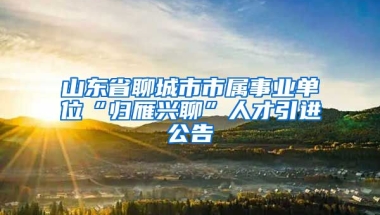 山東省聊城市市屬事業(yè)單位“歸雁興聊”人才引進(jìn)公告