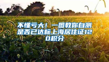 不懂虧大！一圖教你自測是否已達標上海居住證120積分