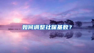 如何調(diào)整社?；鶖?shù)？