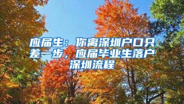 應屆生：你離深圳戶口只差一步，應屆畢業(yè)生落戶深圳流程