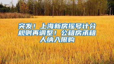 突發(fā)！上海新房搖號計分規(guī)則再調(diào)整！公租房承租人納入限購