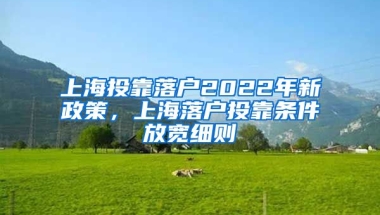 上海投靠落戶2022年新政策，上海落戶投靠條件放寬細則