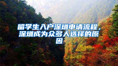 留學(xué)生入戶深圳申請(qǐng)流程，深圳成為眾多人選擇的原因