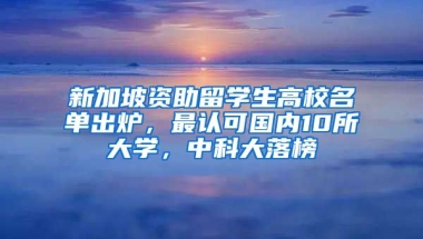 新加坡資助留學(xué)生高校名單出爐，最認(rèn)可國內(nèi)10所大學(xué)，中科大落榜