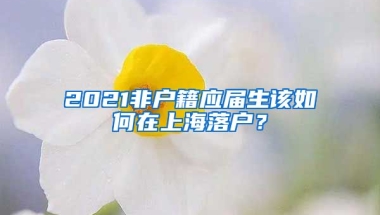 2021非戶籍應(yīng)屆生該如何在上海落戶？