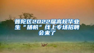 普陀區(qū)2022屆高校畢業(yè)生“揚帆”線上專場招聘會來了