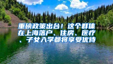 重磅政策出臺！這個群體在上海落戶、住房、醫(yī)療、子女入學都將享受優(yōu)待