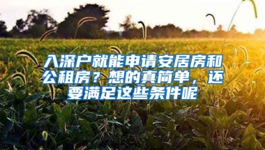 入深戶就能申請(qǐng)安居房和公租房？想的真簡(jiǎn)單，還要滿足這些條件呢